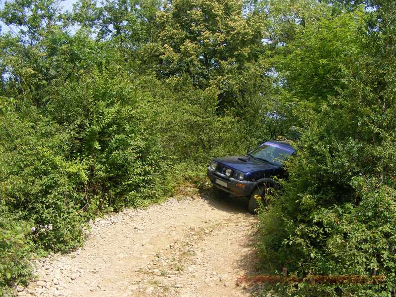 montalieu vercieu nissan terrano mistral ford maverick